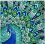 How One Can Select the Correct Size for a Diamond Painting Bird Project?